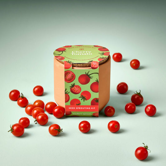 NEW Tiny Terracotta Garden Kit: Cherry Tomato