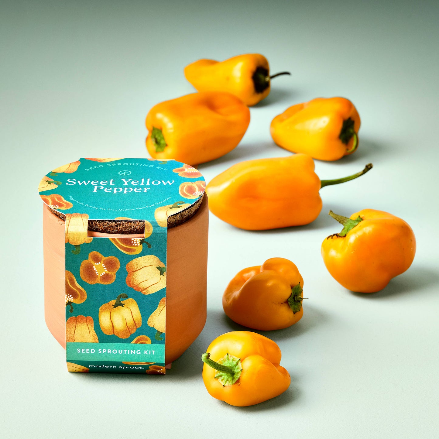 NEW Tiny Terracotta Garden Kit: Sweet Yellow Pepper