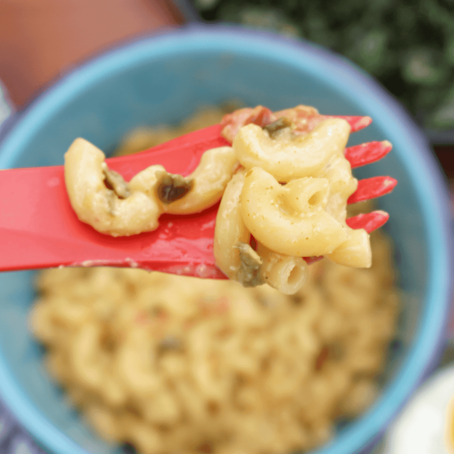 Hatch Green Chile, Garlic, Cheddar Macaroni and Cheese