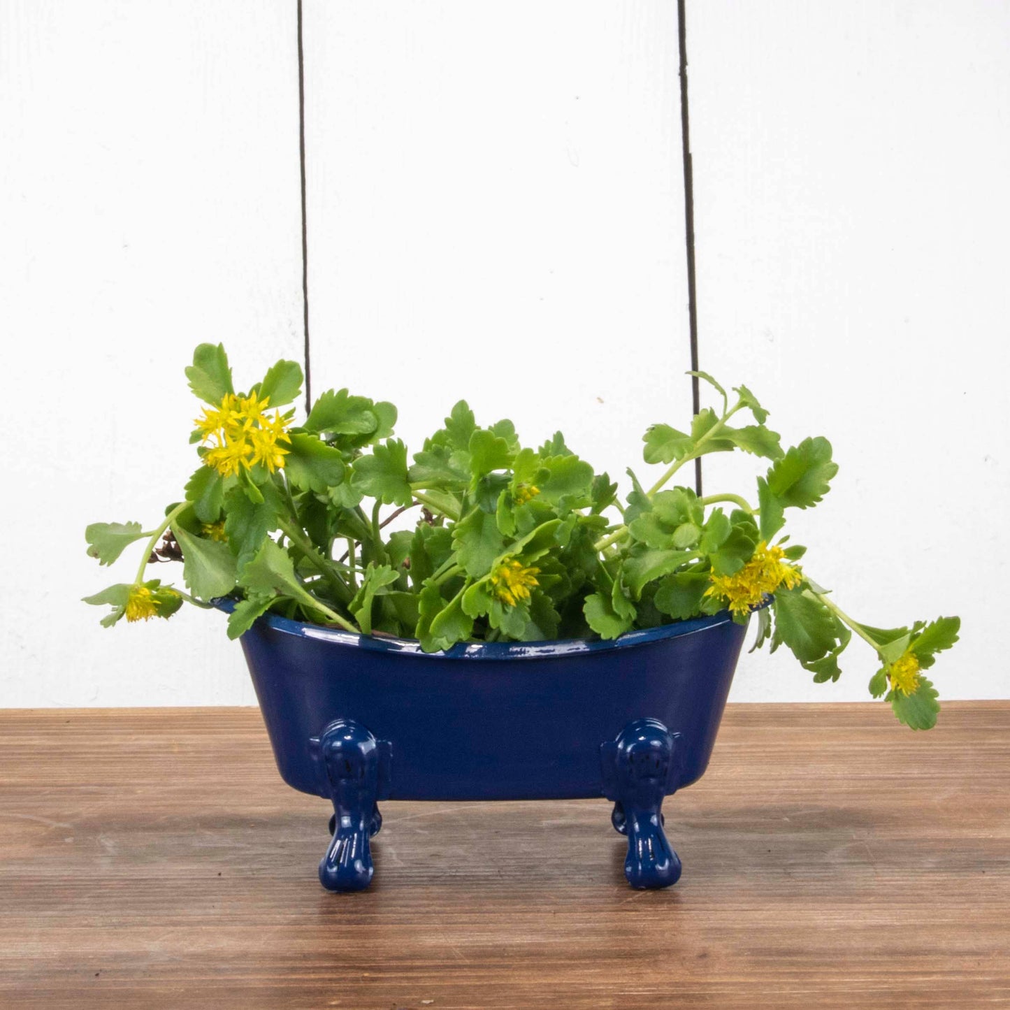 Navy Blue Distressed Enamel Bathtub Soap Dish