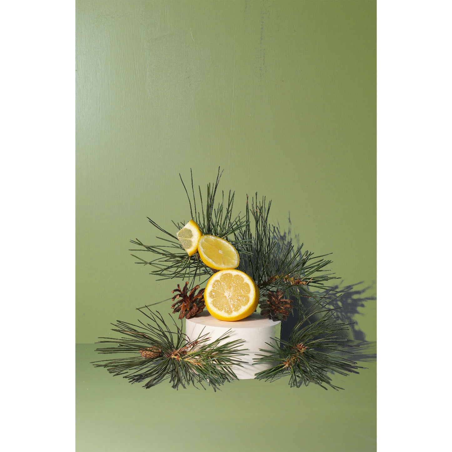Fir Needle Candle - HOLIDAY