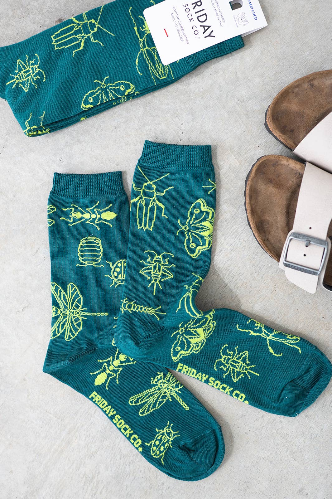 Women's Insects Socks | Silly Socks | Mismatched: Women’s 5 – 10