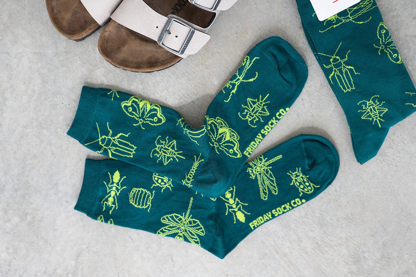 Women's Insects Socks | Silly Socks | Mismatched: Women’s 5 – 10