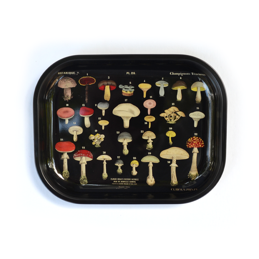 Small Metal Mushroom Ritual Tray / Vintage Fungi Print
